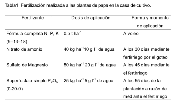 Zeolita- Liberadora de Nutrientes en Plantas – Tesucc Plantas y